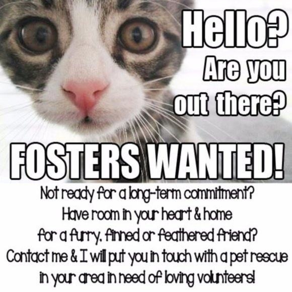 New! SLENDERTONE FLEX MAX Abdominal Toning Belt - Picture 2 of 3